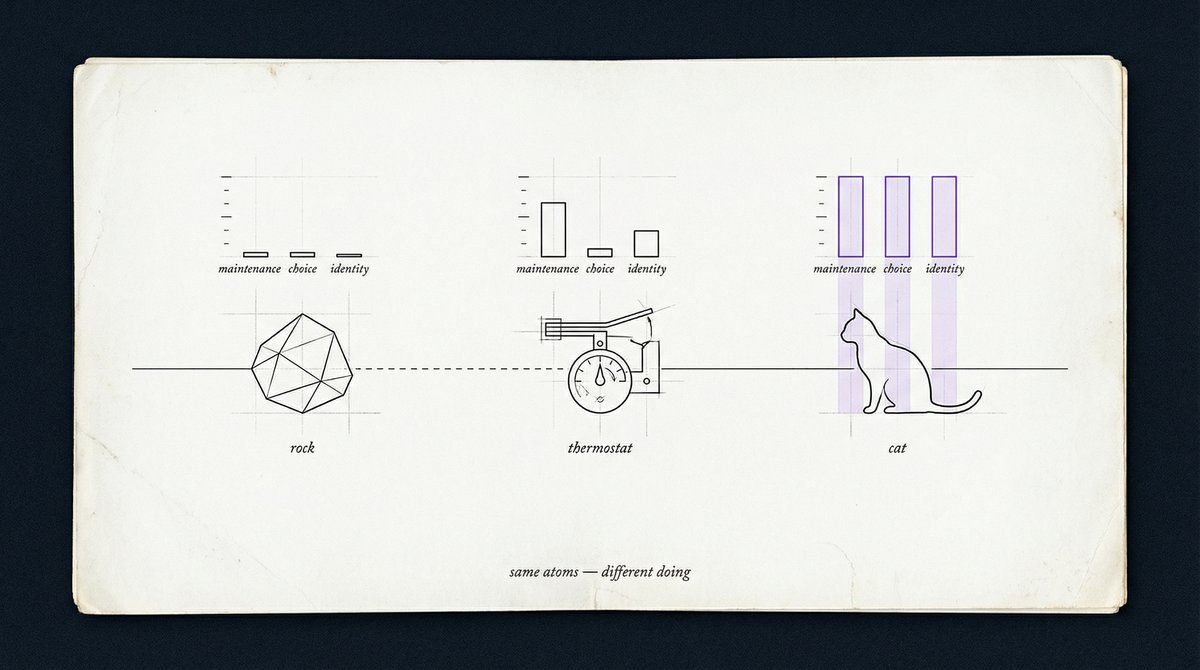 Spectrum diagram showing a rock, thermostat, and cat on a horizontal line, with bar charts above each measuring maintenance, choice, and identity